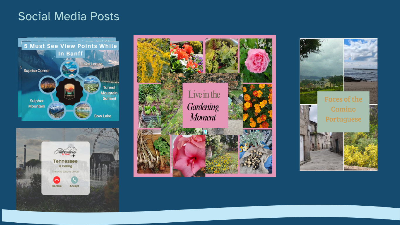 Social Media Posts